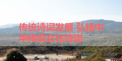 传统诗词发展 弘扬中华传统文化诗词