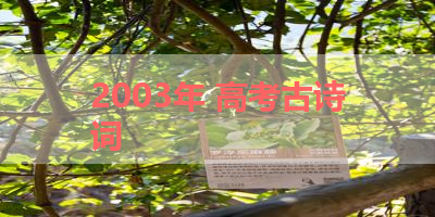 2003年 高考古诗词 