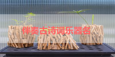 伴奏古诗词乐器名 