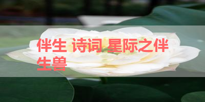 伴生 诗词 星际之伴生兽