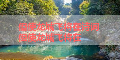 但使龙城飞将在诗词 但使龙城飞将在
