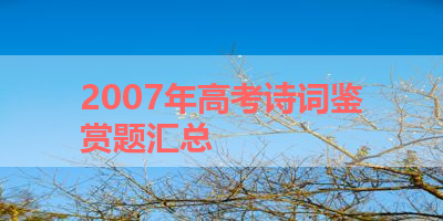 2007年高考诗词鉴赏题汇总 