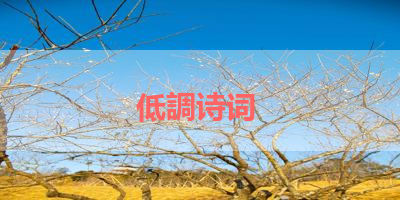 低調诗词 