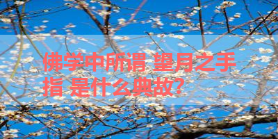 佛学中所谓 望月之手指 是什么典故？ 