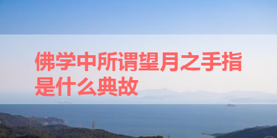 佛学中所谓望月之手指是什么典故 