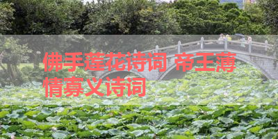 佛手莲花诗词 帝王薄情寡义诗词