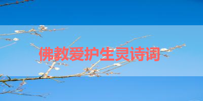 佛教爱护生灵诗词 