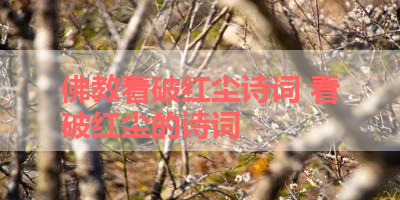 佛教看破红尘诗词 看破红尘的诗词