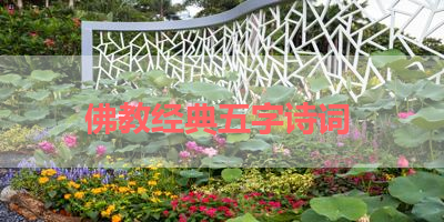 佛教经典五字诗词 