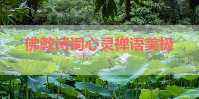 佛教诗词心灵禅语美极 