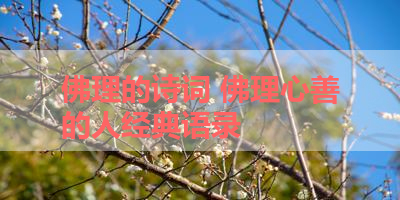 佛理的诗词 佛理心善的人经典语录