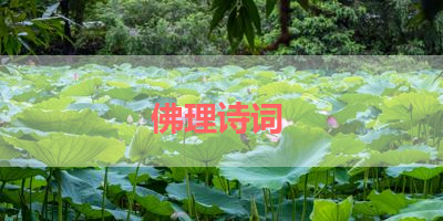 佛理诗词 