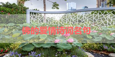 佛的爱情诗词名句 