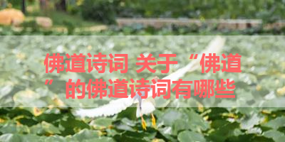 佛道诗词 关于“佛道”的佛道诗词有哪些 
