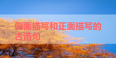 侧面描写和正面描写的古诗句 
