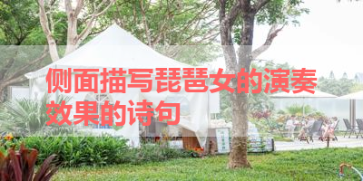 侧面描写琵琶女的演奏效果的诗句 