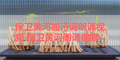 保卫黄河加诗词朗诵视频 保卫黄河朗诵视频