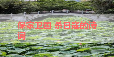 保家卫国 杀日寇的诗词 