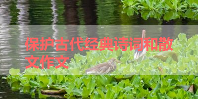 保护古代经典诗词和散文作文 