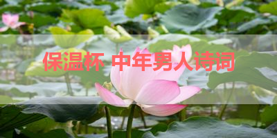 保温杯 中年男人诗词 