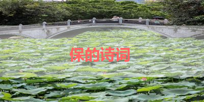 保的诗词 