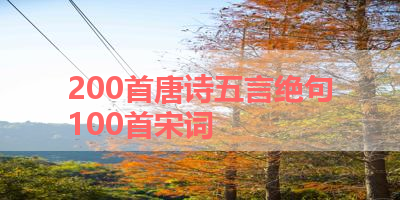 200首唐诗五言绝句100首宋词 