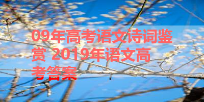 09年高考语文诗词鉴赏 2019年语文高考答案