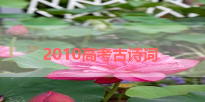 2010高考古诗词 