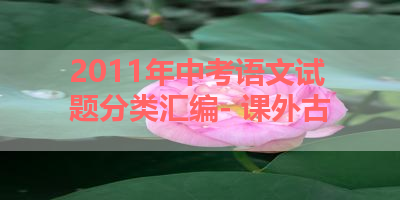 2011年中考语文试题分类汇编- 课外古 