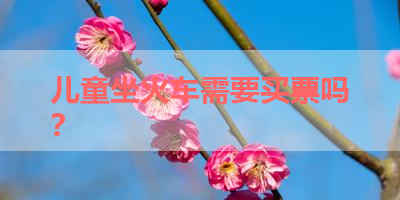 儿童坐火车需要买票吗？ 