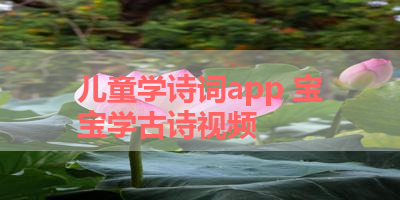 儿童学诗词app 宝宝学古诗视频