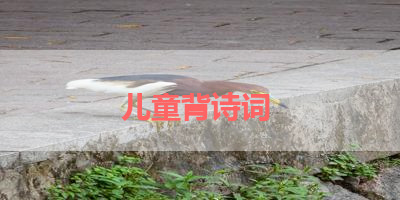 儿童背诗词 