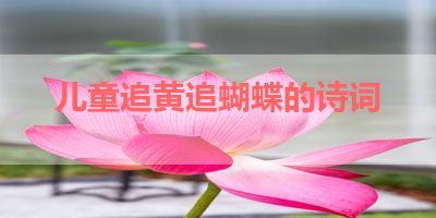 儿童追黄追蝴蝶的诗词 