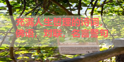 充满人生哲理的诗词，佛语，对联，名言警句 