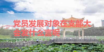 党员发展对象在支部大会发什么言呢 