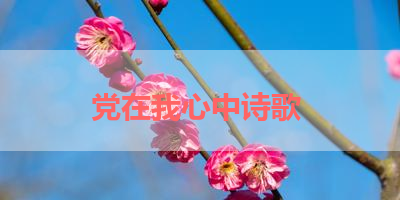 党在我心中诗歌 