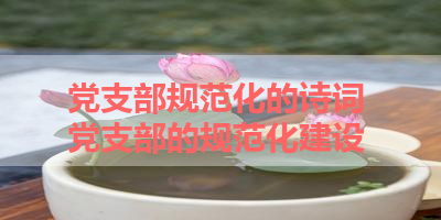 党支部规范化的诗词 党支部的规范化建设