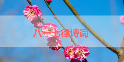 八一七律诗词 