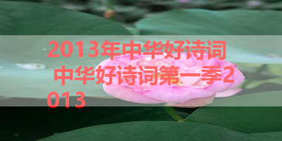 2013年中华好诗词 中华好诗词第一季2013