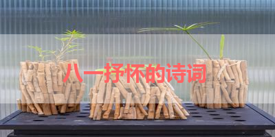 八一抒怀的诗词 