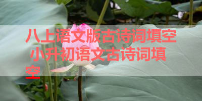 八上语文版古诗词填空 小升初语文古诗词填空