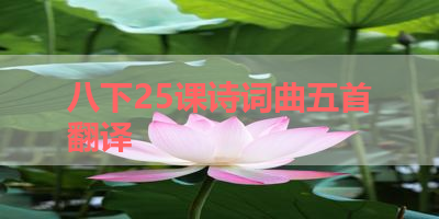 八下25课诗词曲五首翻译 