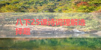 八下25课诗词理解选择题 