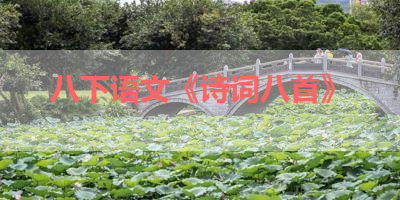 八下语文《诗词八首》 