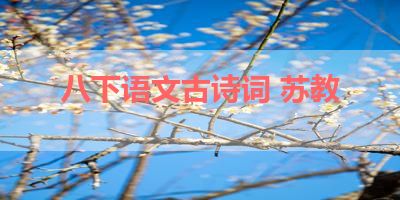 八下语文古诗词 苏教 