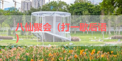 八仙聚会（打一歇后语） 