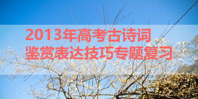 2013年高考古诗词鉴赏表达技巧专题复习 