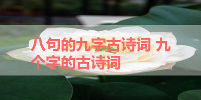 八句的九字古诗词 九个字的古诗词