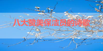 八大赞美保洁员的诗歌 