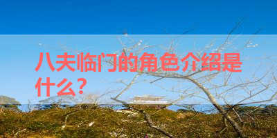 八夫临门的角色介绍是什么？ 